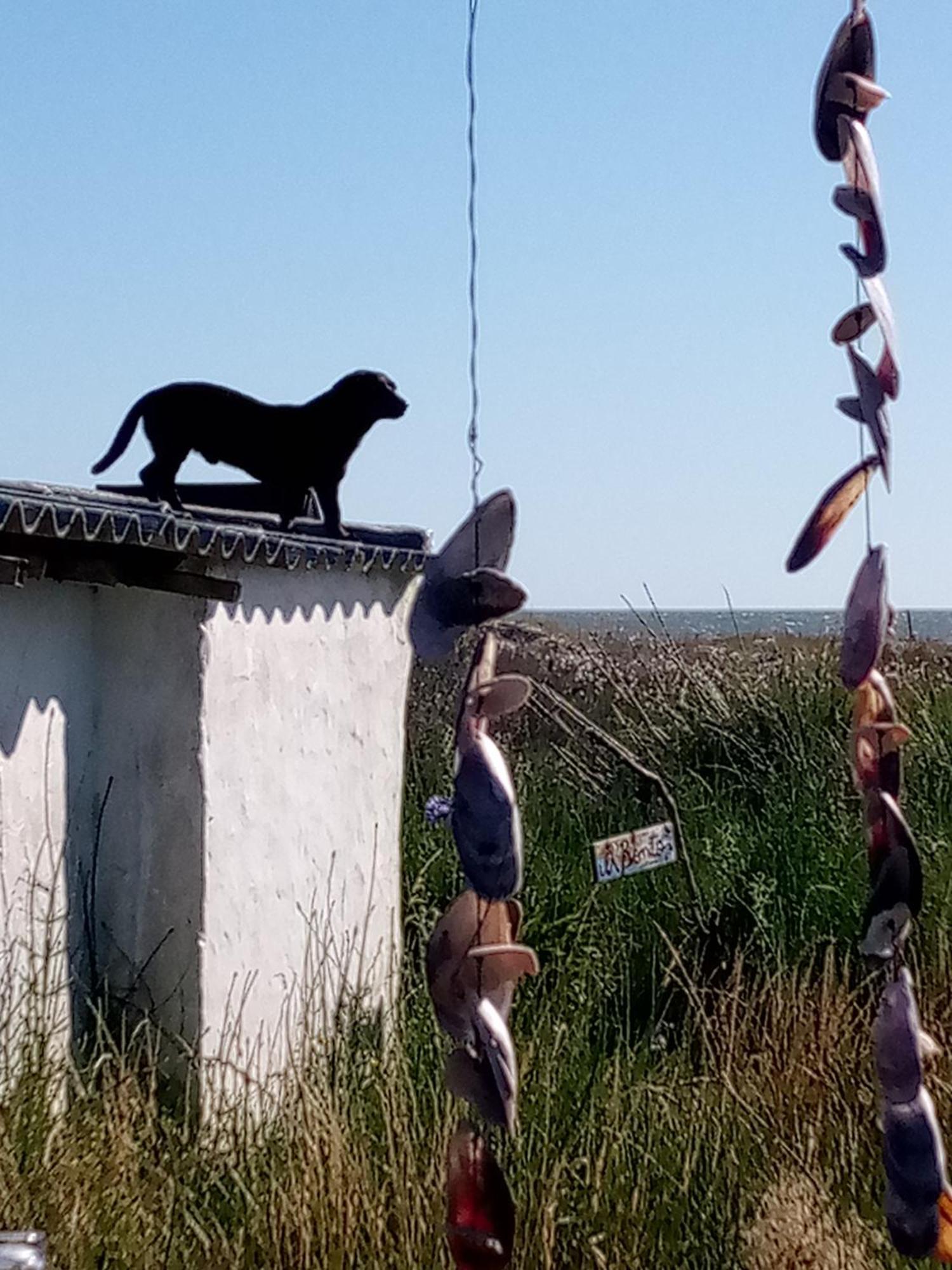 A Pousada Buenas Vibras Cabo Polonio Exterior foto